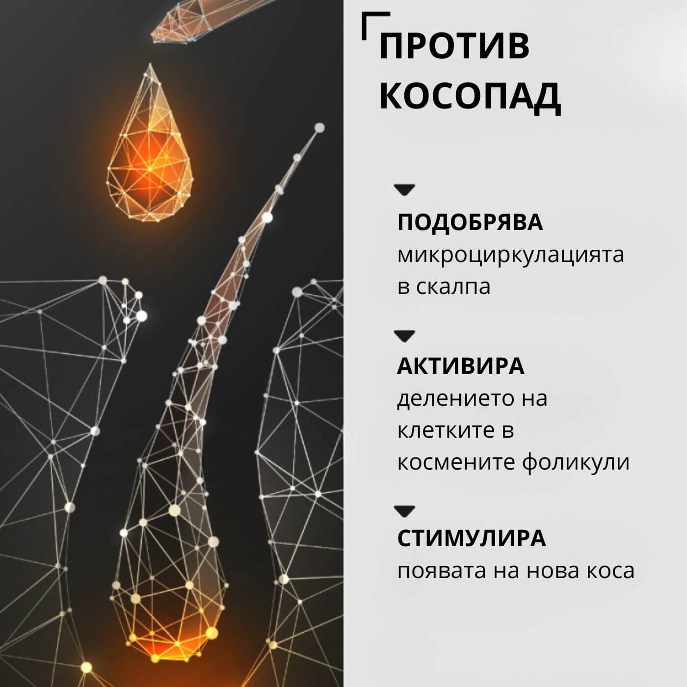 tiande (1081 x 1081 пиксела) (27)